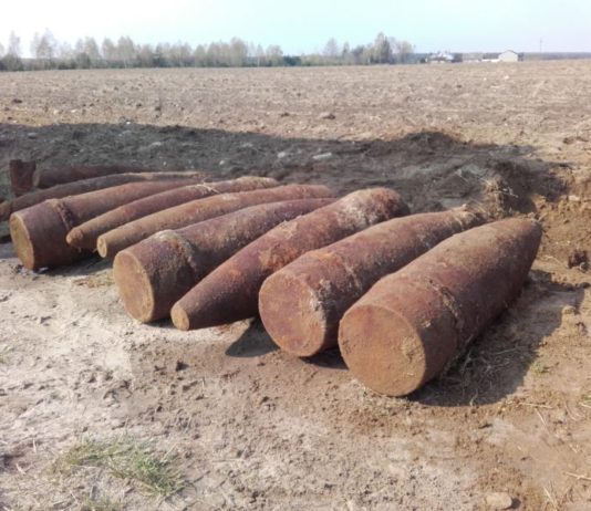 Reakcja na zagrożenie