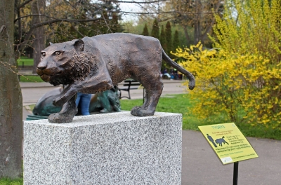 Rzeźby zwierząt autorstwa uczniów ZSP nr 6 w warszawskim zoo!