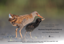 Wystawa fotografii przyrodniczej