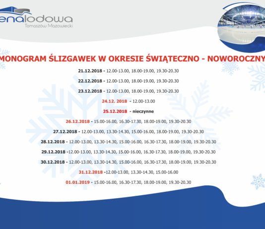 Święta na sportowo w Arenie Lodowej
