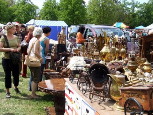 Powrót staroci nad spalski staw