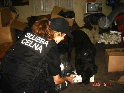 Magazyn z lewymi papierosami i spirytusem