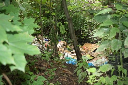 Coraz więcej dzikich wysypisk śmieci