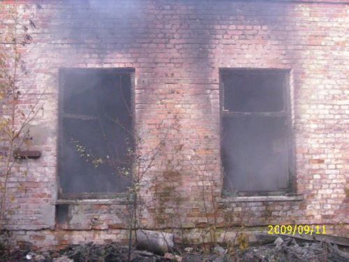 Pożar na terenie wistomu