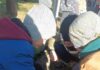 Uczniowie klasy 1b SP nr 3 posadzili żonkile na szkolnym polu nadziei