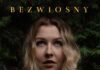 Polecamy: Bezwiosny – Noelle