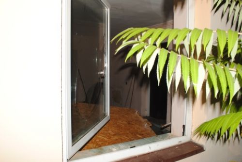 Zatrzymani na „gorącym”