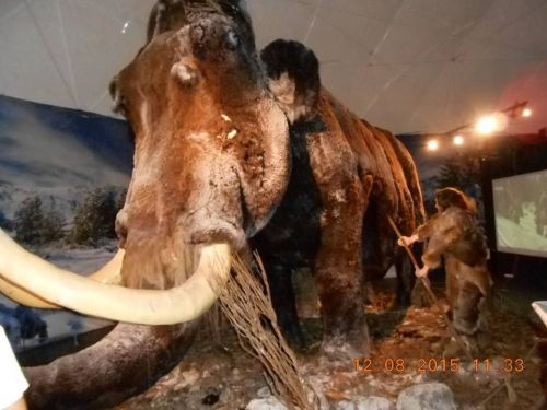 Kolejny tydzień „Akcji Wakacyjnej” w DOK-u