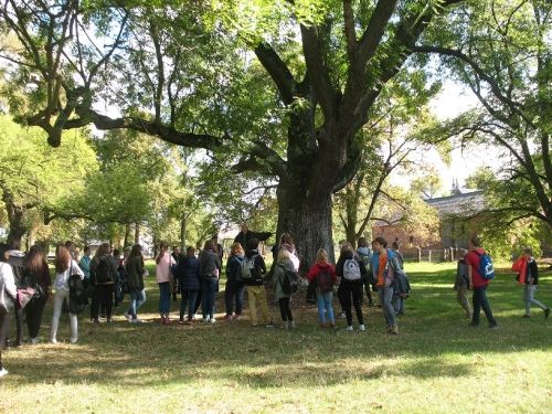 „Przyroda wokół nas”