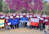 Podsumowanie zagranicznych praktyk zawodowych Erasmus+ Malaga 2026