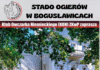 43. Klubowa Wystawa Owczarków Niemieckich – Bogusławice 2025