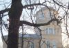 Drzewa moje ojczyste – migawka przyrodniczo-historyczna