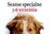 „Był sobie pies”, cz. 2 – seanse specjalne 5-6 września” Godz. 11:00, 13:30