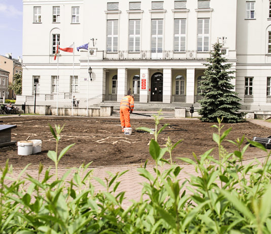 Biało-czerwone kwiaty upiększą centrum miasta