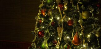 Gdzie można oddać choinkę po świętach Bożego Narodzenia
