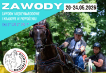 Zawody Międzynarodowe i Krajowe w Powożeniu w Bogusławicach