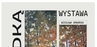 Wystawa SAP w muzeum