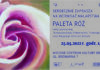 Paleta róż
