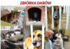 Zbiórka darów dla czworonogów