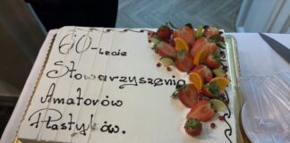 Wystawa na Jubileusz SAP-u