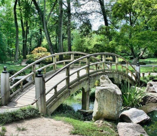 Kamienie ogrodowe jako praktyczne i estetyczne rozwiązanie