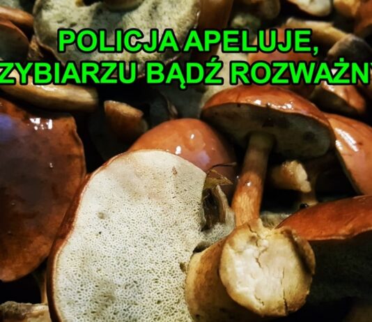 „Sezon na zaginięcia” Policja apeluje do grzybiarzy