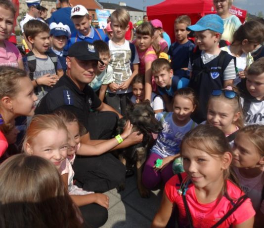 „Niebieski Piknik”