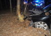Tragiczny wypadek w Twardej. Na drogę wtargnął dzik