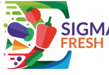 Polecamy: Sigma Fresh